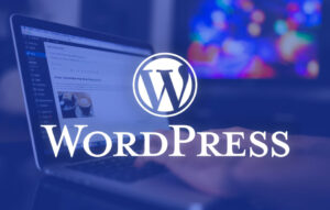 Read more about the article is WordPress really secure?